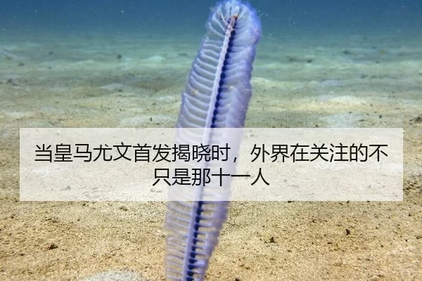 dang-huang-ma-you-wen-shou-fa-jie-xiao-shi-wai-jie-zai-guan-zhu-de-bu-zhi-shi-na-shi-yi-ren-2-151.jpg